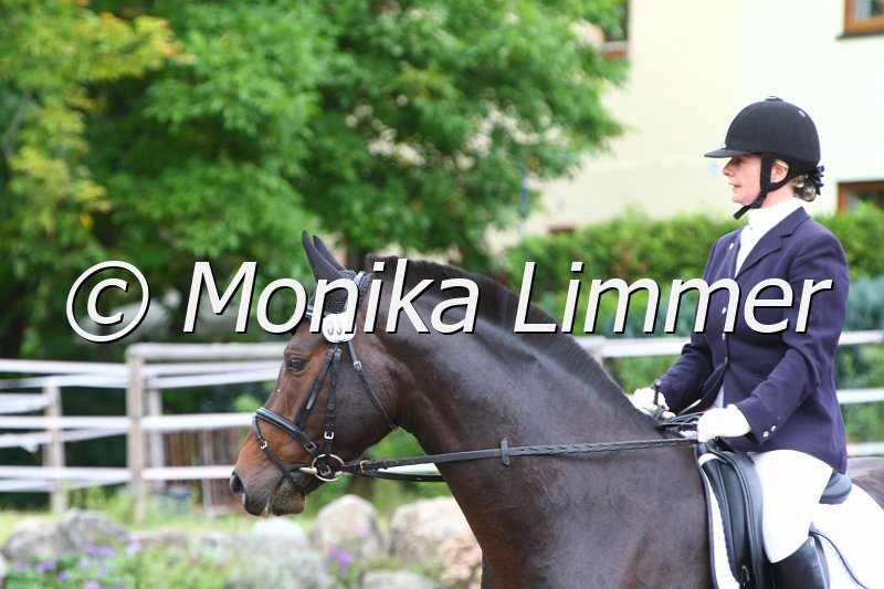 109M2082_Dark Dance_Dresspferde_A.JPG